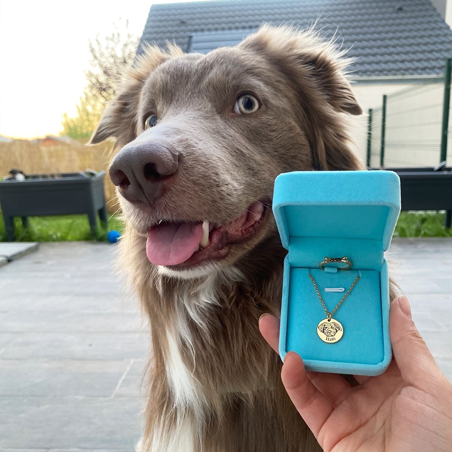 Pet Engraved Necklace